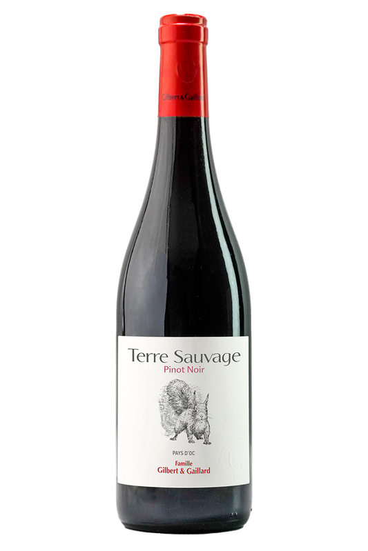 PINOT NOIR 2023 - TERRE SAUVAGE