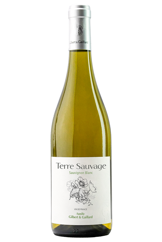 SAUVIGNON BLANC 2023 - TERRE SAUVAGE